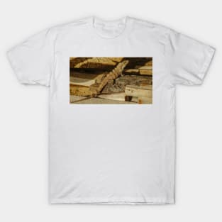 5718 iguana T-Shirt